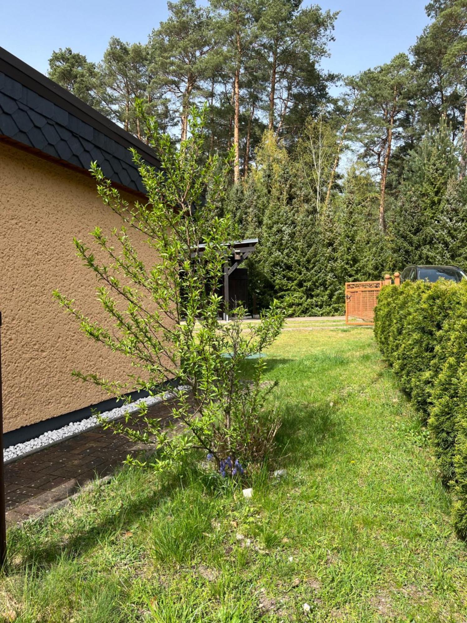 Ferienhaus Fjola Schenkendobern 外观 照片