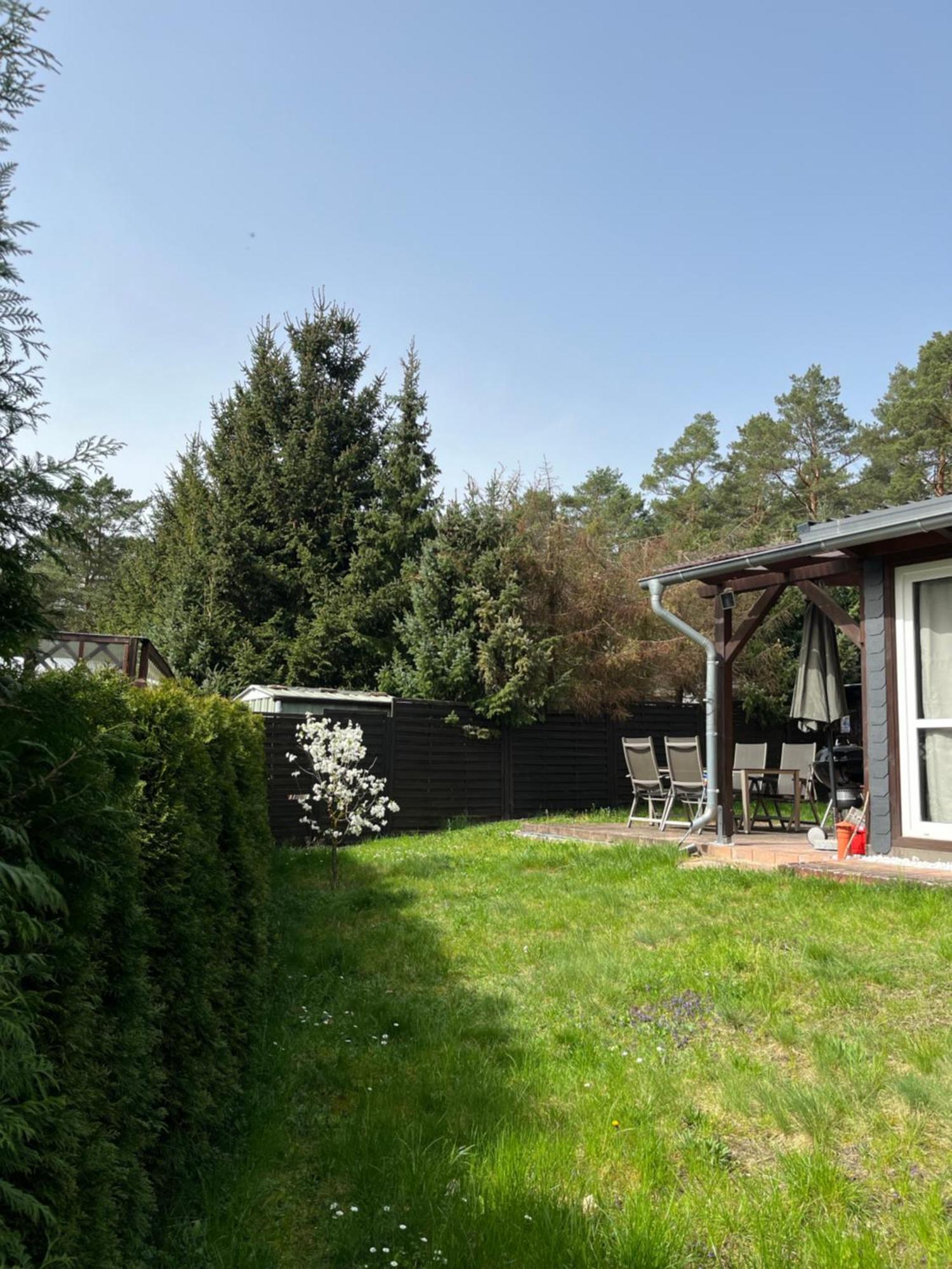 Ferienhaus Fjola Schenkendobern 外观 照片